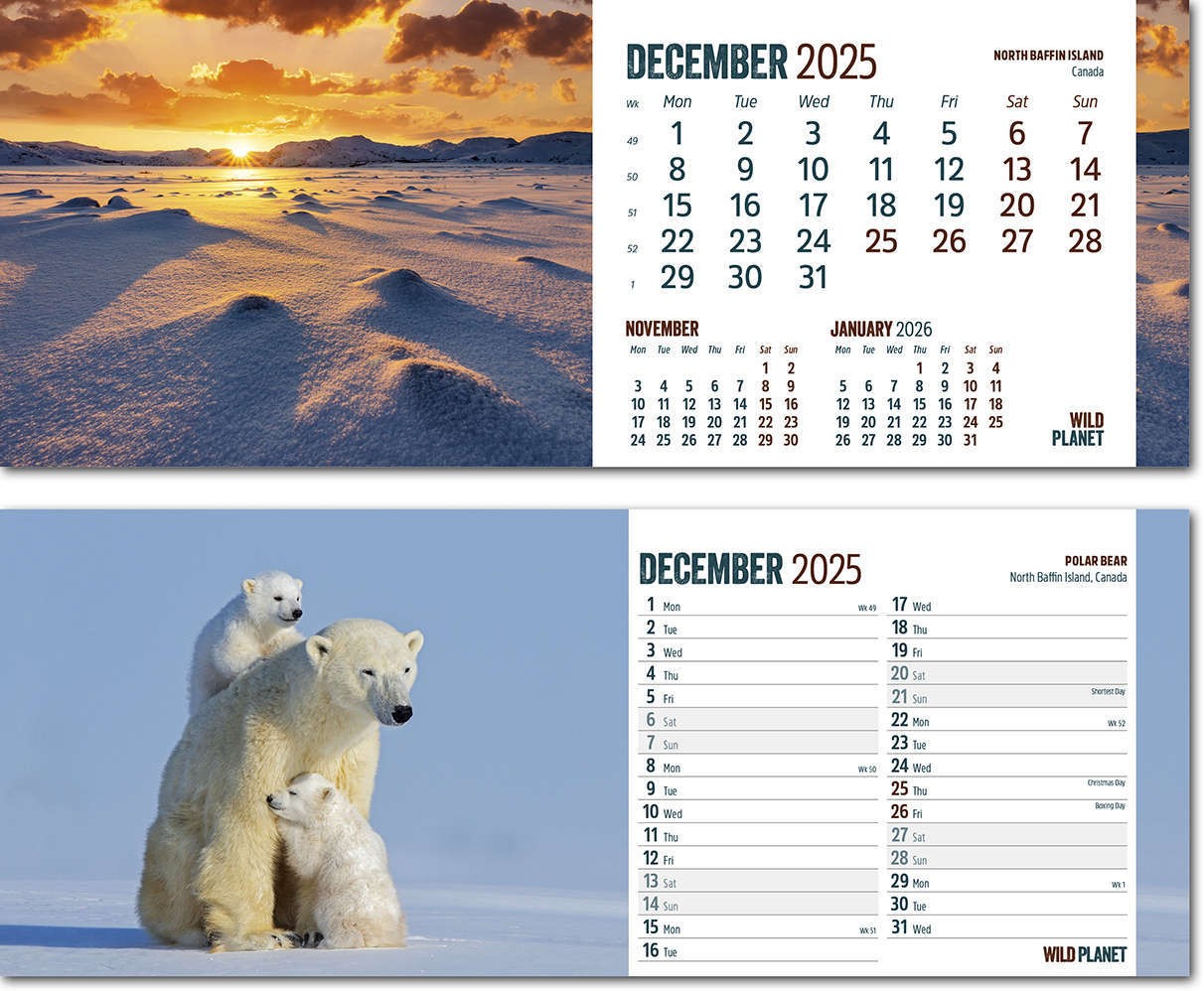 Wild Planet Task Station Desk Calendar