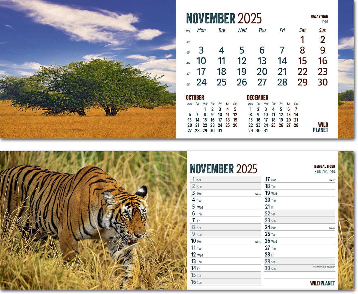 Wild Planet Task Station Desk Calendar