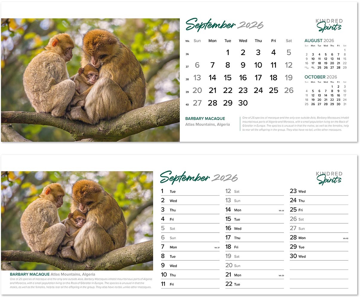 Kindred Spirits Desk Calendar