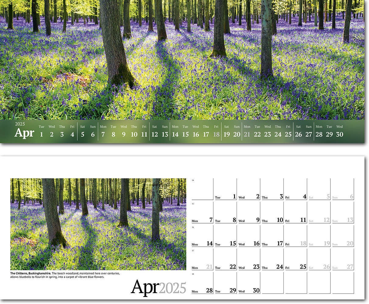 Wild Britain Note Station Desk Calendar 