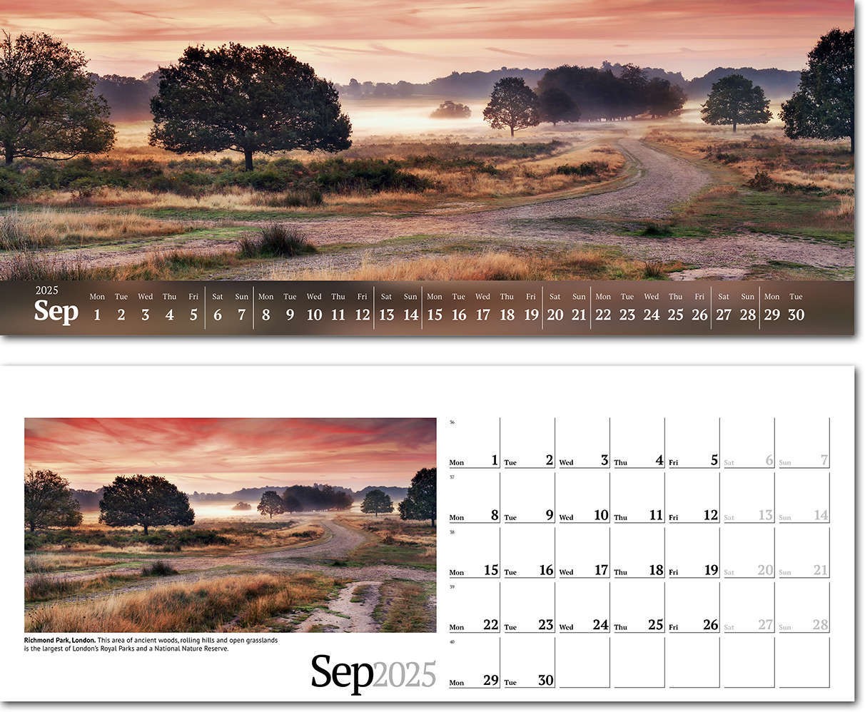 Wild Britain Note Station Desk Calendar 