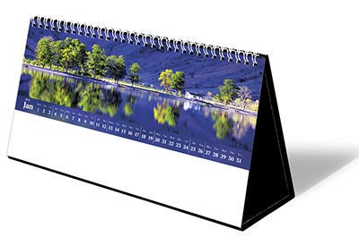 Wild Britain Premium Lined Easel Desk Calendar