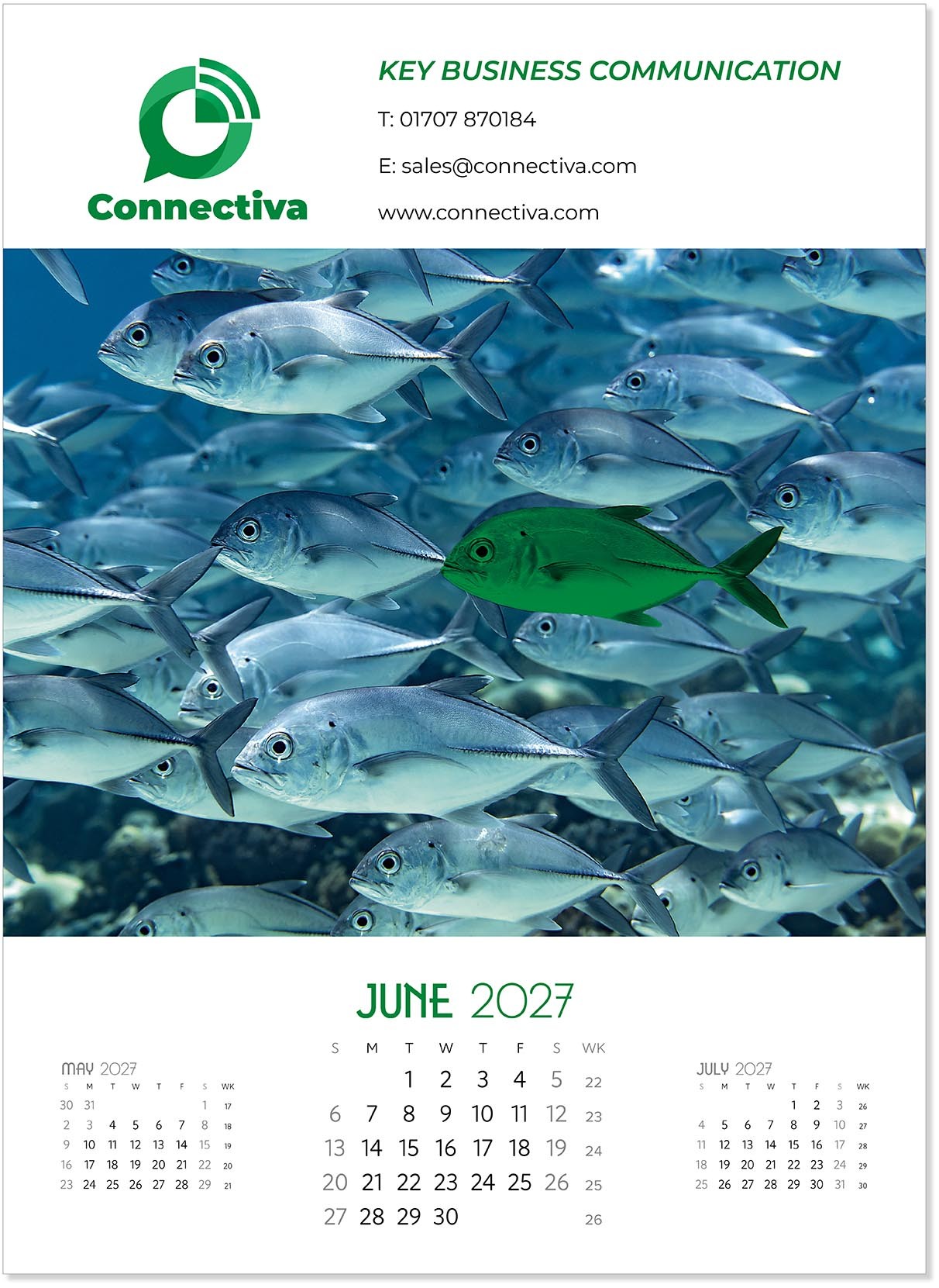 A Touch of Colour Wall Calendar